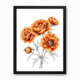 Orange Peonies Art Print