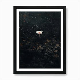 Water Lily 3 Art Print