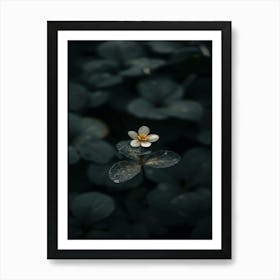 Lily Flower 2 Art Print