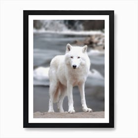 White Winter Wolf Art Print