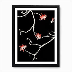 Coral Tree Art Print