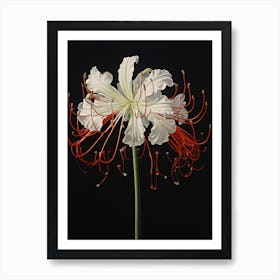 Lily Of The Valley Art Print