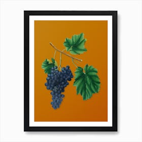 Vintage Lacrima Grapes Botanical on Sunset Orange Art Print