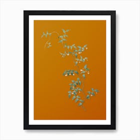 Vintage Bridal Creeper Botanical on Sunset Orange n.0916 Art Print