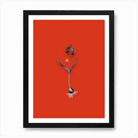 Vintage Alpine Squill Black and White Gold Leaf Floral Art on Tomato Red n.0922 Art Print