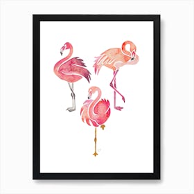 Flamingos Art Print