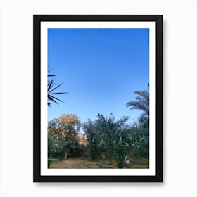 Moon And Palm Trees Art Print