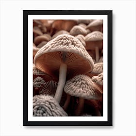 Mushroom Photography 1 Art Print