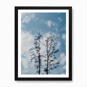 The Silhouette Of Two Trees In Nature Art Print