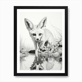 Fennec Fox Finds Water Pencil Drawing 3 Art Print