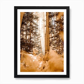 Colorado In Fall Art Print