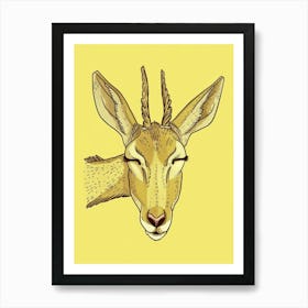 Antelope 13 Art Print