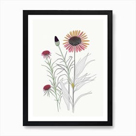 Echinacea Spices And Herbs Minimal Line Drawing 1 Art Print