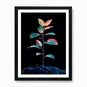 Plant On Black Background 1 Art Print