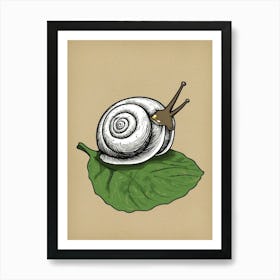 Snail On A Leaf Art Print