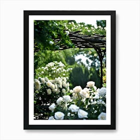 White Roses 1 Art Print