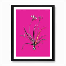 Vintage Allium Fragrans Black and White Gold Leaf Floral Art on Hot Pink n.1170 Art Print