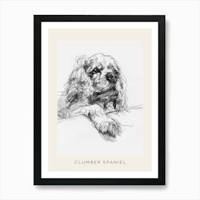 Clumber Spaniel Dog Line Sketch 4 Poster Art Print