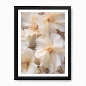 Boho Dried Flowers Hibiscus 3 Art Print