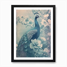 Vintage Cyanotype Inspired Peacock With Blossom 2 Art Print