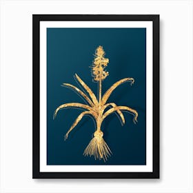 Vintage Scilla Patula Botanical in Gold on Teal Blue n.0103 Art Print