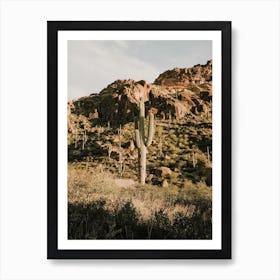 Desert Hiking Trail Scenery Art Print