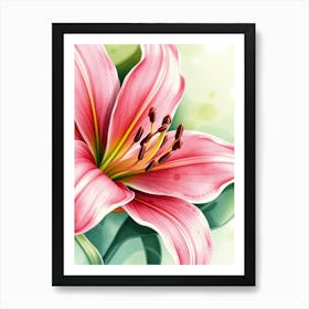 Pink Lily 5 Art Print