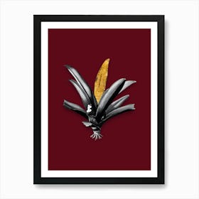 Vintage Boat Lily Black and White Gold Leaf Floral Art on Burgundy Red n.0486 Art Print