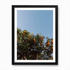 Orange Tree Art Print