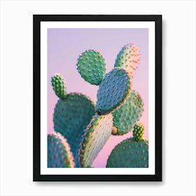 Cactus 20 Art Print