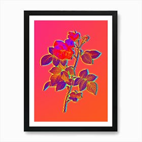 Neon Pink Bourbon Roses Botanical in Hot Pink and Electric Blue n.0275 Art Print