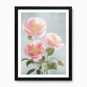 Camellia Flowers Acrylic Pastel Colours 2 Art Print