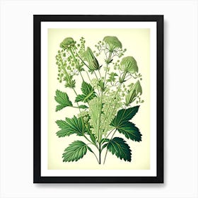 Valerian Herb Vintage Botanical Art Print