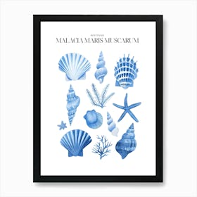 Blue Sea Shells Art Print