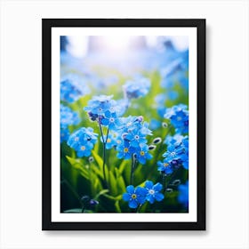 Forget Me Not In Grasslands (1) Art Print