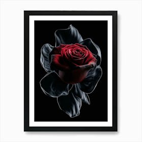 Dark Red Rose Art Print