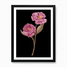 Pink Peony Flower Art Print