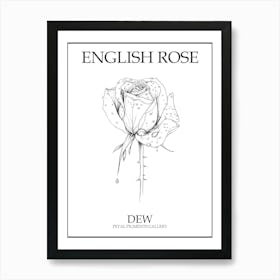 English Rose Dew Line Drawing 3 Poster Art Print