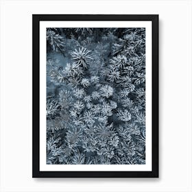 Path Through The Winter Forest Art Print