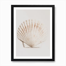Shell Art Print