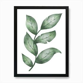 Green Watercolor Leaves - Two Set Art Print