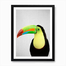 Toucan Bird Art Print