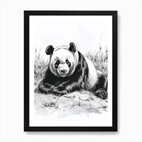 Giant Panda Resting In A Field Ink Illustration 3 Art Print