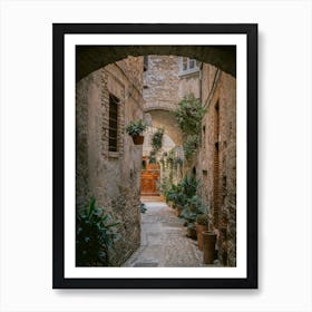 Botanical Small Street Art Print