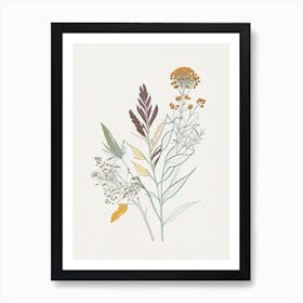 Boneset Spices And Herbs Minimal Line Drawing 3 Art Print