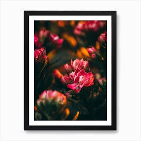 Poster Flower Art Print 12 Art Print