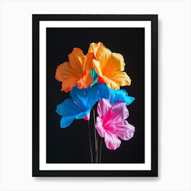 Bright Inflatable Flowers Bougainvillea 1 Art Print