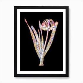 Stained Glass Knysna Lily Mosaic Botanical Illustration on Black n.0344 Art Print