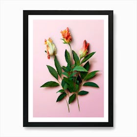 Flowers On A Pink Background 2 Art Print