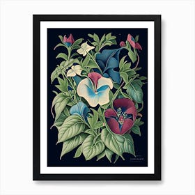 Vinca Floral 2 Botanical Vintage Poster Flower Art Print